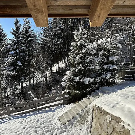 Exquisite Contemporary Chalet Recently Completed